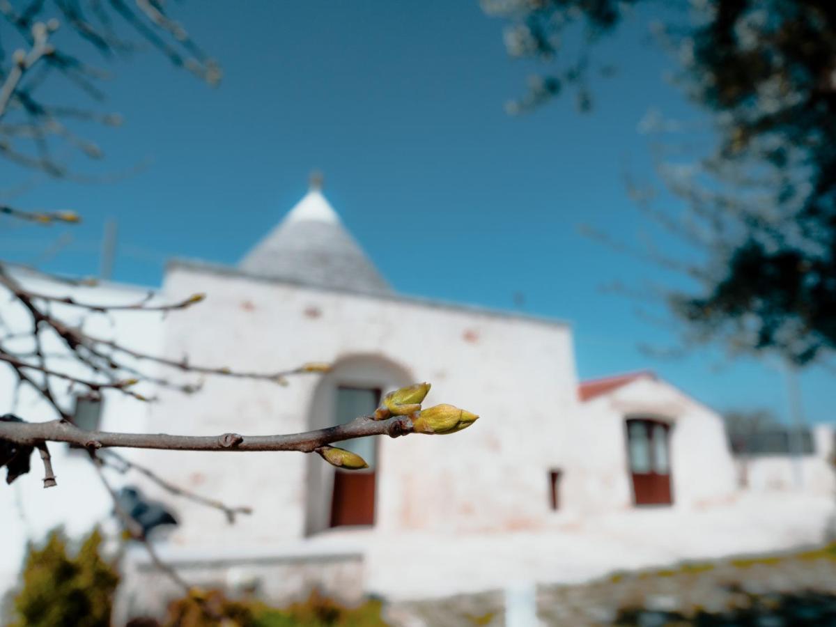 Rifugio Di Puglia - Trulli & Dimore อัลเบโรเบลโล ภายนอก รูปภาพ